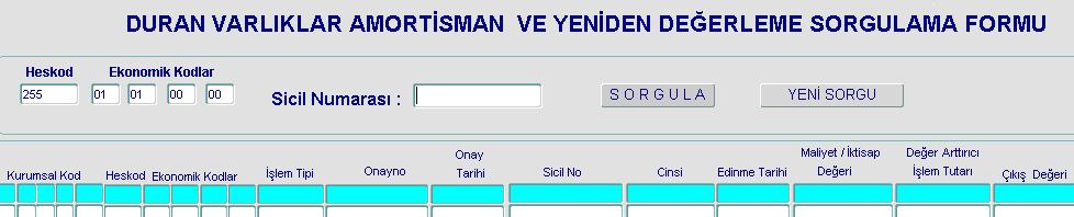 Aynı formda, hesap ve ekonomik kod bazında sorgu yapılmak istenildiğinde, YENİ SORGU butonuna basılır