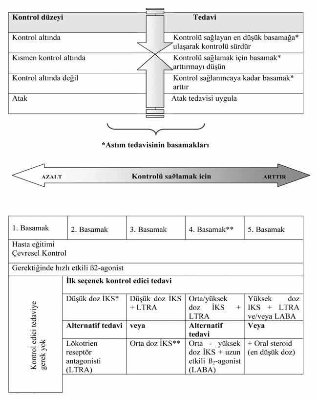 Tablo 6.2.7.1. Astım tedavisinin basamakları ve 5 yaş altındaki çocuklarda tedavi 70 *İKS: İnhaler kortikosteroidler **Üçüncü basamak sağlık kuruluşuna gönderilmesi önerilir.