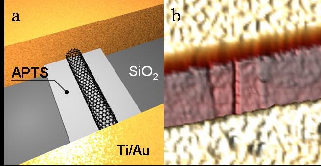 Nano tüp Tranzistör Silan Ti/Au Kontağı AFM Görüntüsü SiO 2 Karbon Nanotüp