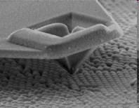 Nanotüplerin İşlenmesi Nanotüplerden devre yapabilmek için, Nanotübün konumunu, şeklini ve yönelimini degiştirebilmek için atomik kuvvet mikroskobu