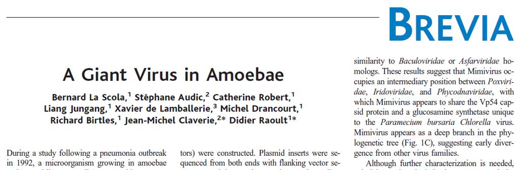 Study of this microorganism within Acanthamoeba polyphaga revealed a characteristic viral morphology with