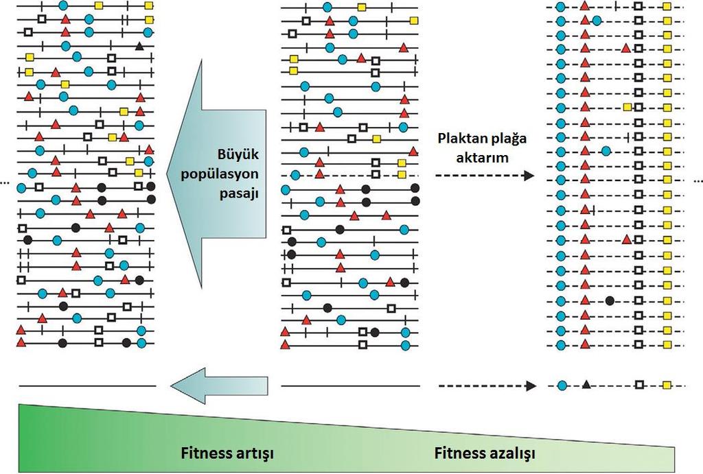 Pasaj koşullarının fitness