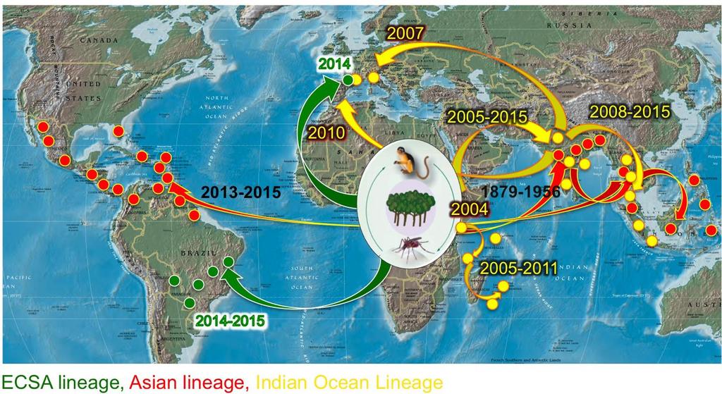 Map showing the known historic spread of Chikungunya virus based on phylogenetic reconstructions.