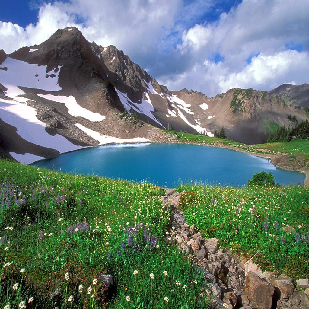 Olympic National Park/ Olimpik Ulusal Park