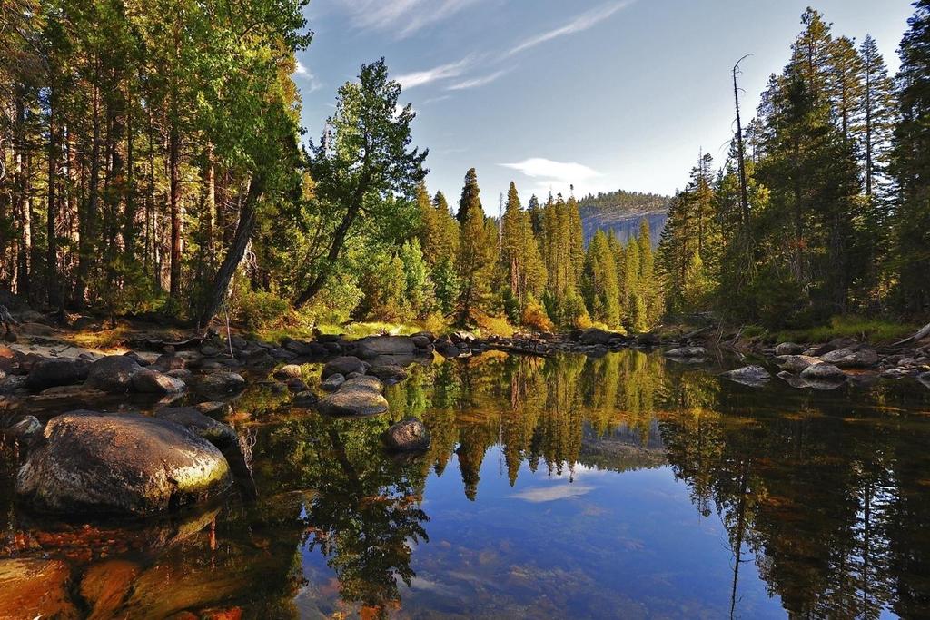 Yosemite National Park/ Yosemite Ulusal Parkı/ABD