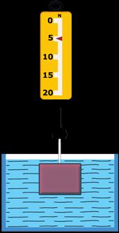 A) 1, 2 ve 3 B) 1, 2 ve 4 C) 1, 2, 4, 5 ve 6 D) 1, 2, 3, 4, 5 ve 6 Sude nin metal kutuyu tamamen su içerisine daldırarak yaptığı ölçüm aşağıdakilerden hangisi olabilir? A) B) 7.