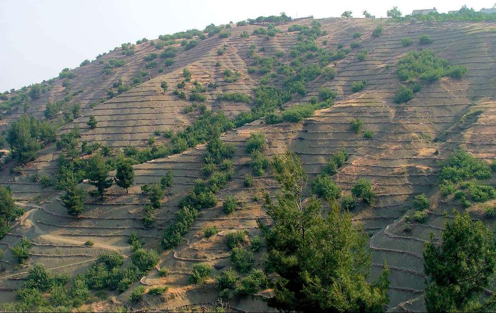 Genellikle etütlerde, 375 m ya da 500 m de bir toprak profili alınmaktadır.