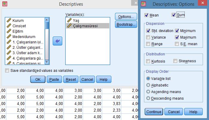 *Options tıklanır ve gelen ekranda Mean (aritmetik ortalama)