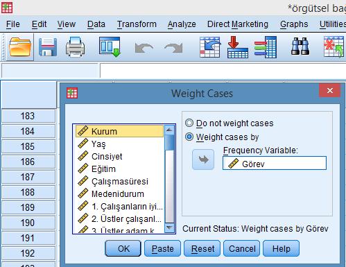 *Aynı seride çalışanların görevlerine göre ağılrlandırılarak aritmetik ortalama hesaplanırken, data menüsünden görev değişkenini frekans olarak