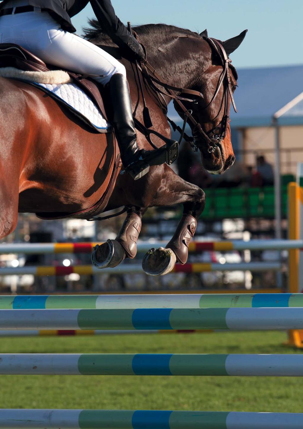 Spor Atları Ürünleri Engel atlama, konkur komple, dresaj ve polo disiplinlerinde yer alan performans atları idman ve müsabaka için çok özel bir diyete ihtiyaç duyarlar.