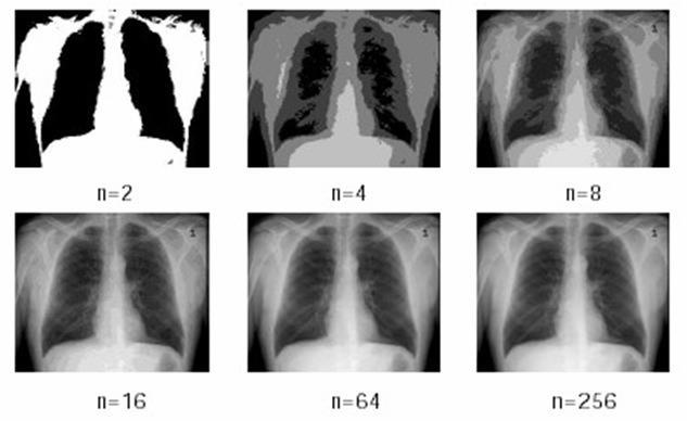 Görüntü Nitelikleri Radyometrik çözünürlük n = 2^b olmak üzere, b değeri görüntünün