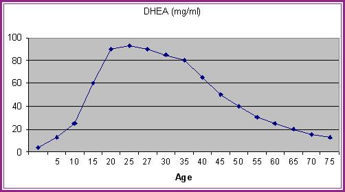 Puberteden önce yükselmeye başlayan DHEA, 20 li yaşlarda pik