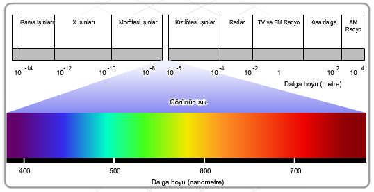 Elektromanyetik dalga içerisinde gama ışını, x-ışını, kızılötesi, morötesi, radar ve radyo ışını dalgaları yer alır. Her bir dalganın farklı bir dalga boyu ve frekansı vardır.