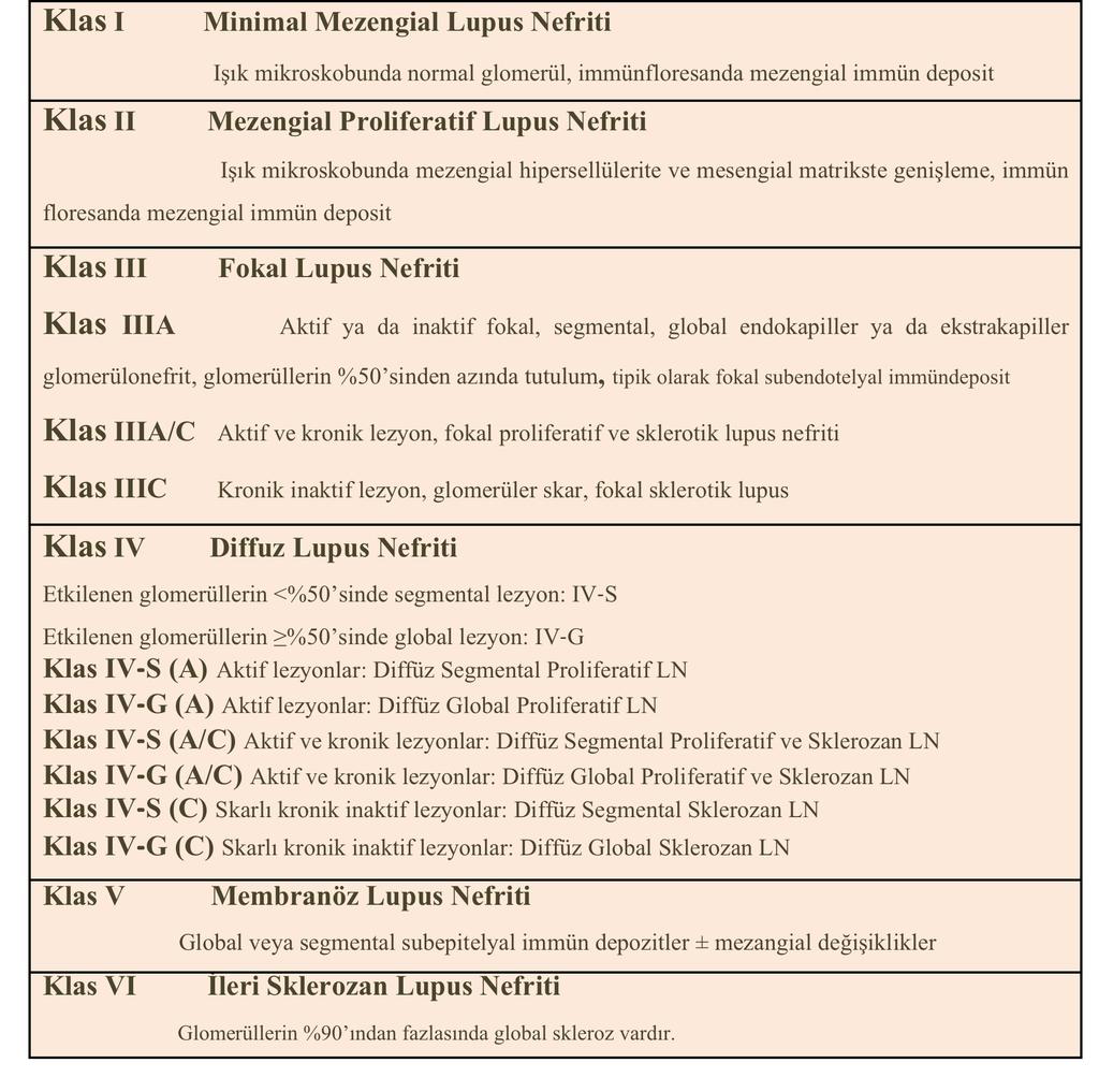 SLE de Biyopsi bulgularının 2003 yılı Uluslararası Nefroloji Derneği/Renal Patoloji Derneği tarafından (ISN/RPS)