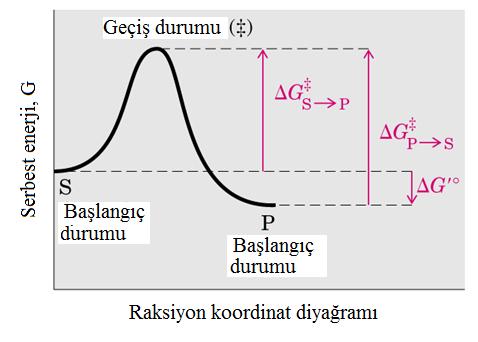 Bir kimyasal reaksiyonda geçiş durumuna ulaşmak için gerekli enerji, aktivasyon enerjisi olarak bilinir.