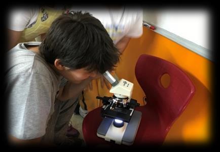 Mikroskopun işlevini kavradık.