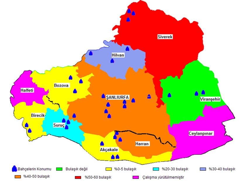 Şanlıurfa ilinde nar bahçelerinde Harnup güvesi Apomyelois ceratoniae Zell.