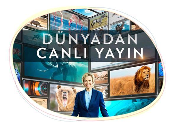 National Geographic den Canlı Yayın Belgesel Emmy Ödüllü Phil Keoghan televizyon tarihindeki en ilginç vahşi yaşam yayını için yine Emmy Ödüllü oyuncu Jane Lynch ile bir araya geliyor.