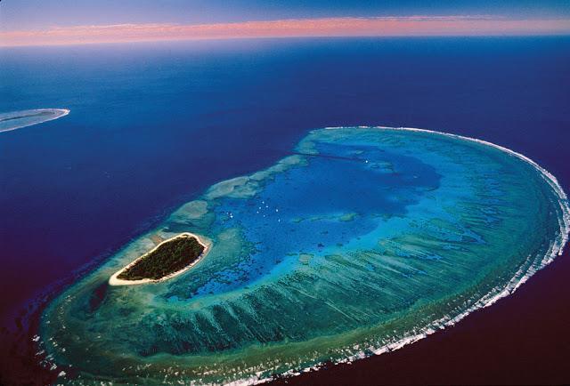 Mercan Resifleri Bu resif 2000 km uzunluğundadır.