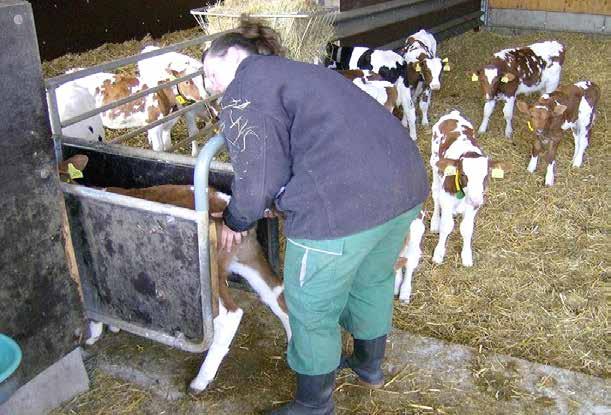 G-TARIMSAL DESTEKLEME FAALİYETLERİ Hayvancılığın ve sütçülüğün geliştirilmesinde örgütlü yapıların gerekliliği kaçınılmazdır.