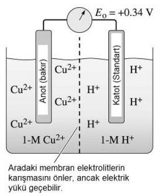 Şekil 2: Yarım pil hücresi örneği[5] Yarım pil hücrelerinde ölçülen potansiyeller yardımı ile metallerin elektron bırakma eğilimleri belirlenir.