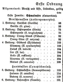 TEST+TEKNOLOJİ YAPISAL DEPOLAMA karşılık gelir. Bu da çizgenin XML tabanlı bir betiğe dönüştürülebilmesini sağlar. Elbette RDF leri temsil etmenin üçlü sözdizim (turtle) gibi başka yolları da var.