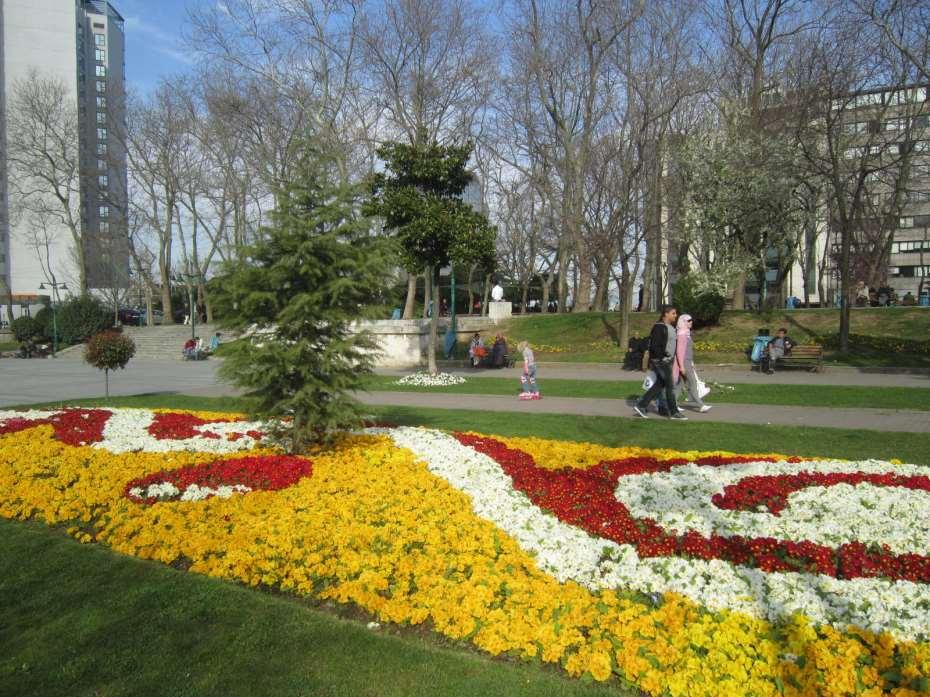 Yol ve cadde bitkilendirmelerinde kullanılacak türler sahip oldukları farklı ölçü, form, renk ve