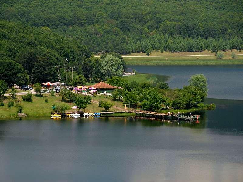 Koruma amaçlı tür seçimi KYA yeni tesisler (yeşillikler-ormanlar) kurulurken koruma amacının ön planda olduğu hallerde türleri seçerken türlerin, aşağıda verilen özelliklerden birini veya