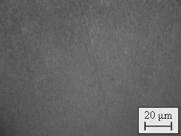 fotoğrafları (Optical microscope surface micrographs of aluminum after corrosion) Uncoated Polyaniline coated (in 0.1 M aniline + 0.