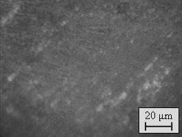 2 M anilin konsantrasyonunda polianilin kaplanmış alüminyumun korozyon sonrasında yüzey SEM görüntüleri (Surface SEM micrographs of polyaniline coated