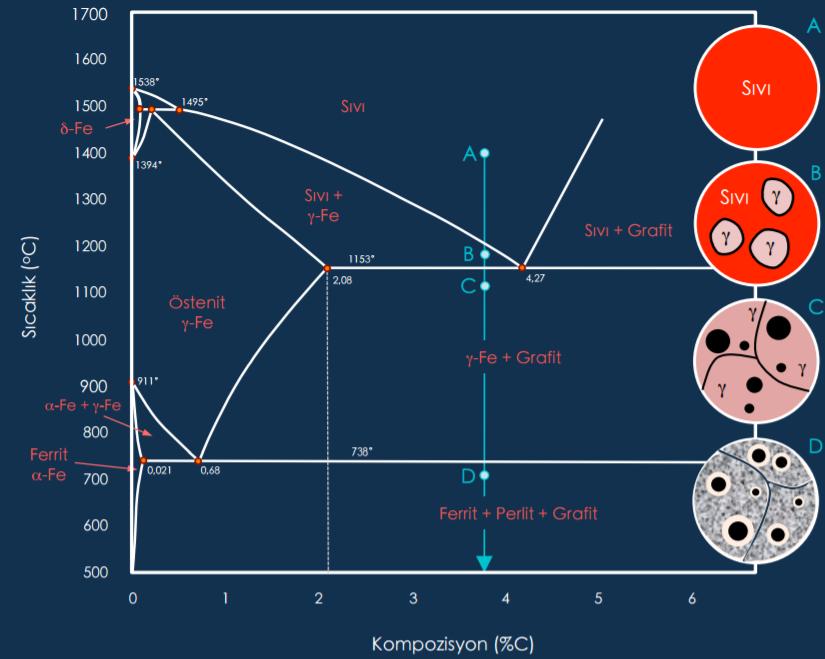 Küresel Krafitli Dökme Demirlerin Katılaşma Aşamaları Ötektik