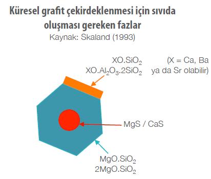 Aşılanma Mekanizması Sıvı metal içine eklenen aşı ilk olarak çözünür. Ardından, sıvı içinde boyu yaklaşık 1 µm civarında CaS ve MgS gibi inklüzyonlar oluşmaya başlar.