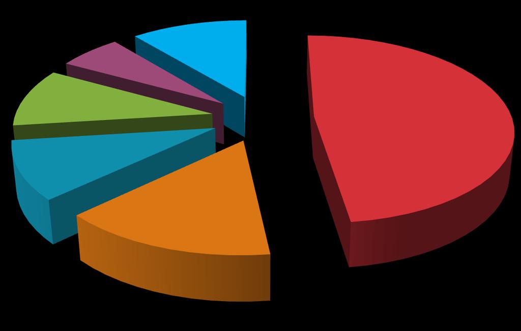 SĠBER HASARLARIN MALĠYETLERĠ Kanuni Maliyetler 10% Cezai Maliyetler 6% Kredi Kartları İle