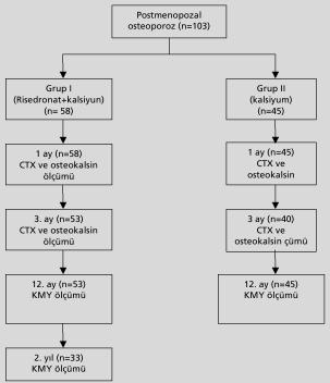 Osteoporoz Dünyas ndan (2006;12:74-80) Risedronat Tedavisinde Biyokimyasal Belirleyiciler 75 Girifl ve Amaç Klasik olarak osteoporoz patogenetik aç dan yeniden yap lanma döngüsünde y k m n yap m aflt