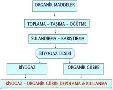 Organik madde çürüme akışı aşağıdaki resimde