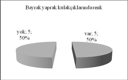 62 Altı sıralı yerel arpa materyalinin %50 sinde renk pigmenti var ve %50 sinde yok, kontrol arpa çeģitlerinin ise ikisinde var, ikisinde de yok olarak tespit edilmiģtir (ġekil 4.23).