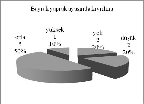 64 Altı sıralı yerel arpa materyalinin %10 unda bayrak yaprak ayası kıvrılmasının yüksek, %50 sinde orta ve %20 sinde düģük olduğu, %20 sinde de olmadığı, kontrollerin ise ikisinde yüksek, birinde