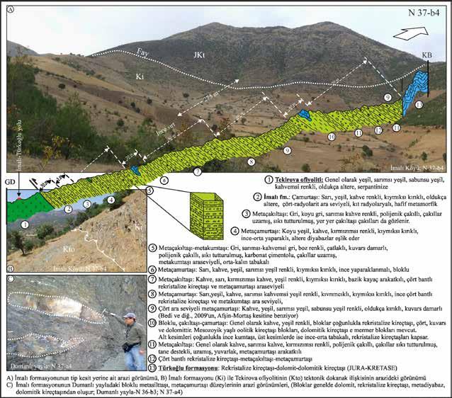 Orta ve Kuzey Amanos Dağları nın (Osmaniye - Gaziantep - K.Maraş) Stratigrafisine İlişkin Yeni Bulgular Mermer üyesi ve Diyabaz üyesi nden oluşur.