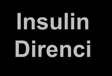 Direnci Periferik lipoatrofi Azalmış adiponectin Artmış KC yağlanması