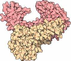 Smith The Nobel Prize in Physiology or Medicine 1975 was awarded jointly to David Baltimore, Renato Dulbecco and Howard Martin Temin "for their discoveries concerning the interaction between tumour