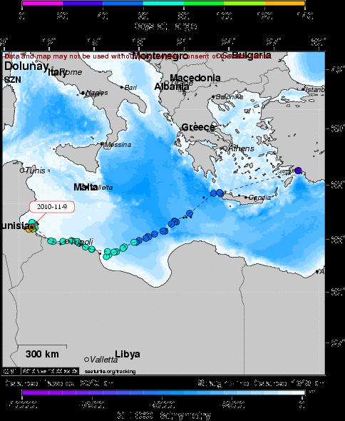 seaturtle.org/tracking/?project_id=358).