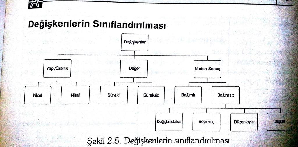 Değişkenlerin