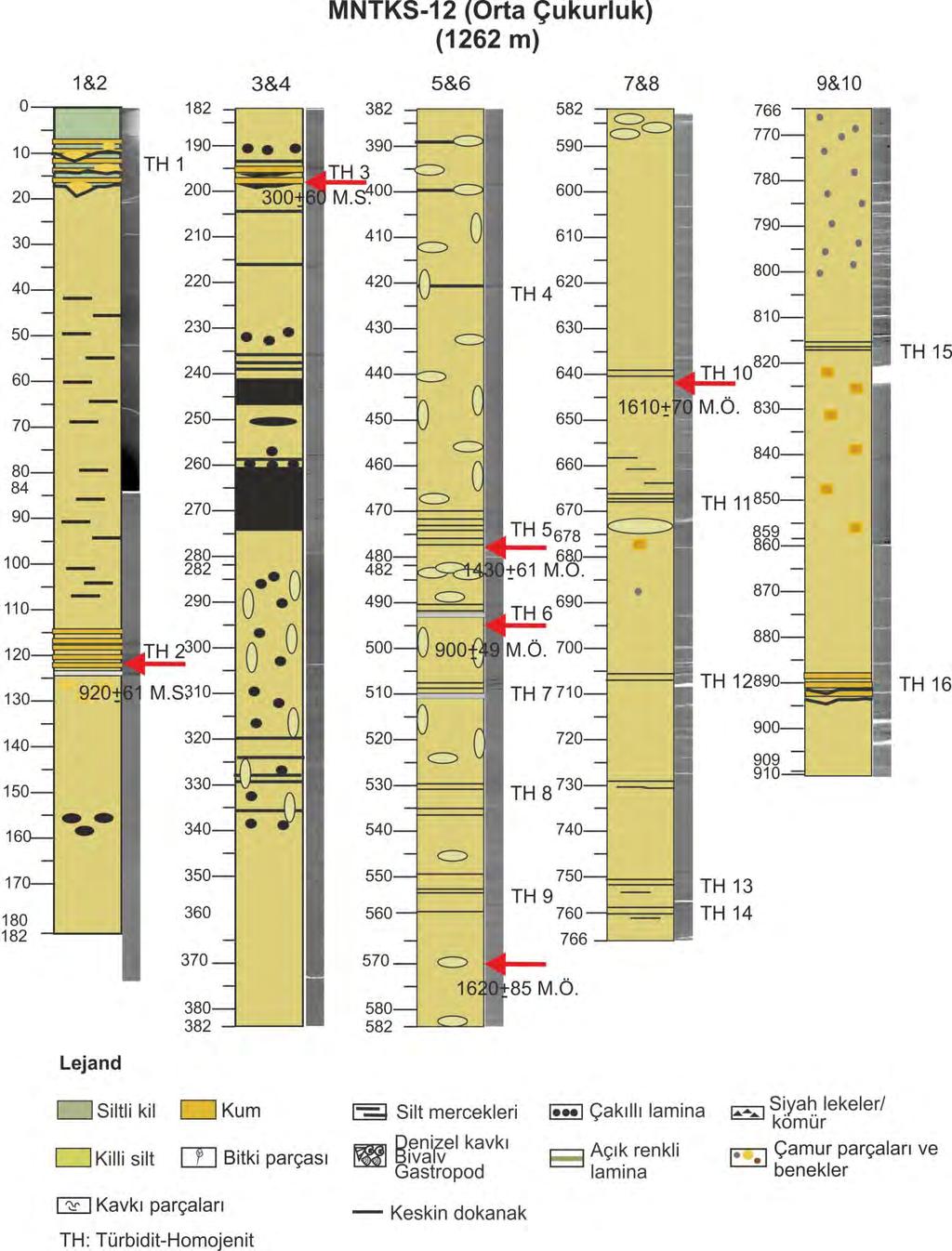 Şekil 6.2. MNTKS12 karotunun litolojik logu ve X-ışınları radyografi görüntüsü.