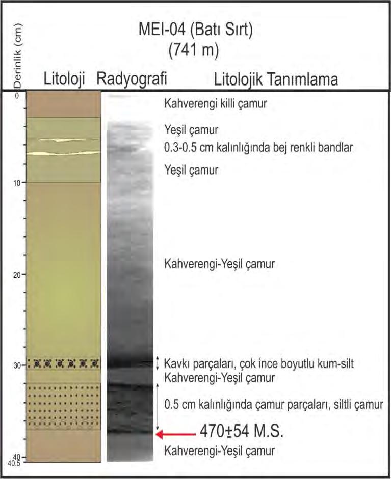 üst kısmında 10 cm ile 3 cm arasındaki yeşil çamur birimi, kalınlıkları 0.3-0.5 cm arasında değişen bej bandlar içermektedir. En üstte ise okzik zonu oluşturan kahverengi killi çamur görülmektedir.