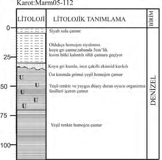 Şekil 3.