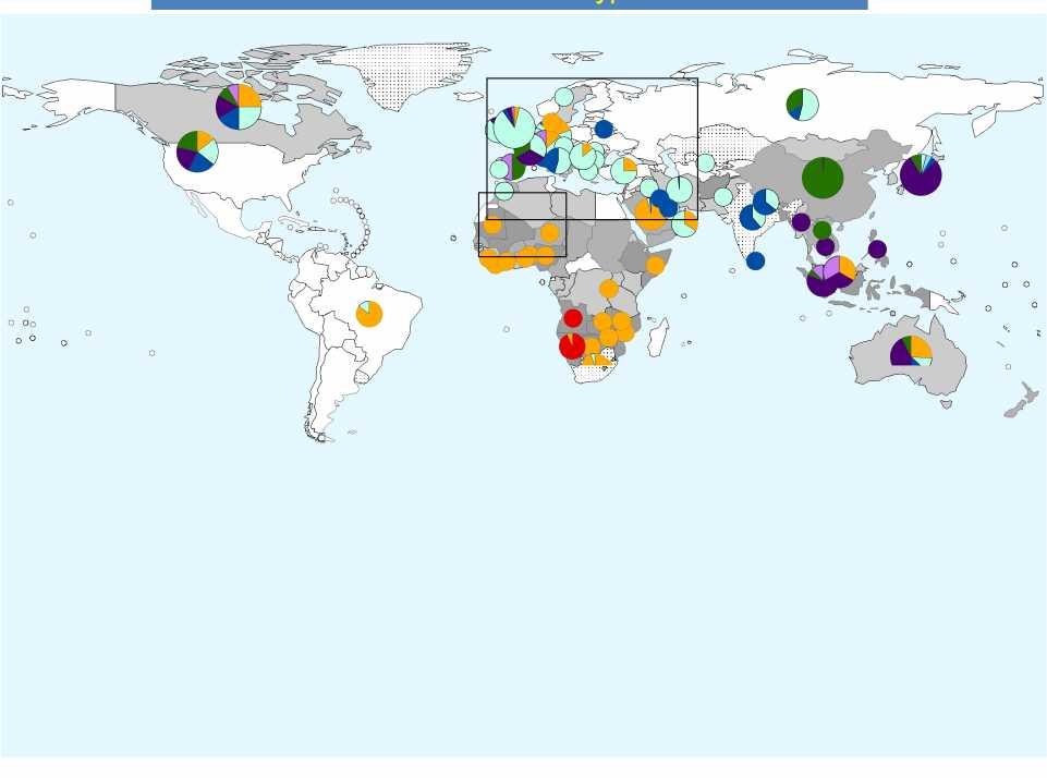 shown and the designations used on this map do not imply the expression of any opinion whatsoever on the part of the World Health Organization concerning the legal status of any country,