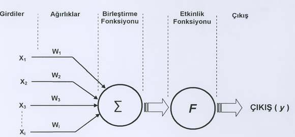 52 Girdiler (X 1, X 2...,X i ), diğer hücrelerden ya da dış ortamlardan hücreye giren bilgilerdir (Şekil 3.6).