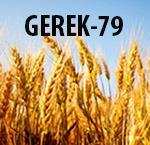 GEREK-79 ÇEŞİDİ GEREK-79 ÇEŞİDİ DE YEREL EKMEKLİK BUĞDAY ÇEŞİDİ OLUP SELEKSİYON ISLAHI İLE TESCİL EDİLMİŞTİR.