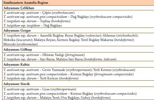 GÜNEYDOĞU ANADOLU