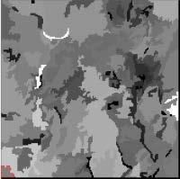 benzersizlik, (d) entropi, (e) açısal 2. moment, (f) ortalama değer, (g) varyans, (h) karşılıklı değer dir.